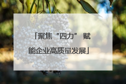 聚焦“四力” 赋能企业高质量发展