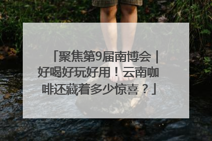 聚焦第9届南博会｜好喝好玩好用！云南咖啡还藏着多少惊喜？