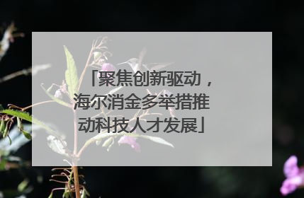 聚焦创新驱动，海尔消金多举措推动科技人才发展