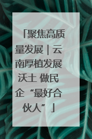 聚焦高质量发展｜云南厚植发展沃土 做民企“最好合伙人”