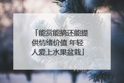 能赏能摘还能提供情绪价值 年轻人爱上水果盆栽