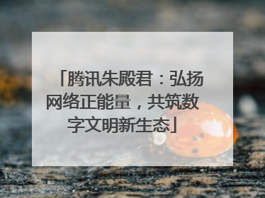 腾讯朱殿君：弘扬网络正能量，共筑数字文明新生态
