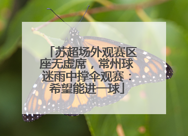 苏超场外观赛区座无虚席，常州球迷雨中撑伞观赛：希望能进一球