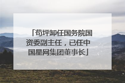 苟坪卸任国务院国资委副主任，已任中国星网集团董事长