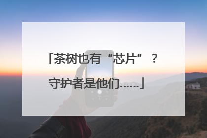 茶树也有“芯片”？守护者是他们……