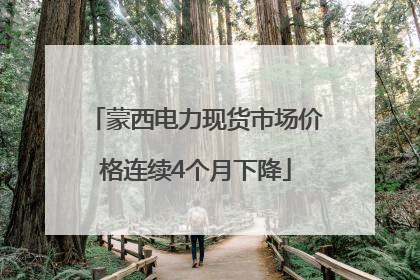 蒙西电力现货市场价格连续4个月下降