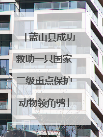 蓝山县成功救助一只国家二级重点保护动物领角鸮
