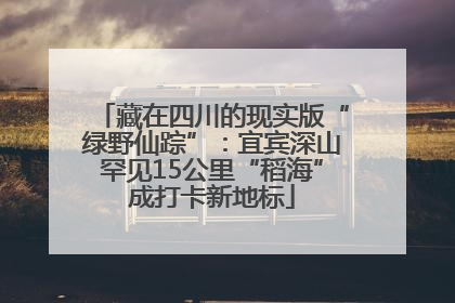 藏在四川的现实版“绿野仙踪”：宜宾深山罕见15公里“稻海”成打卡新地标