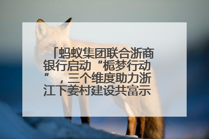 蚂蚁集团联合浙商银行启动“栀梦行动”，三个维度助力浙江下姜村建设共富示范区示范点
