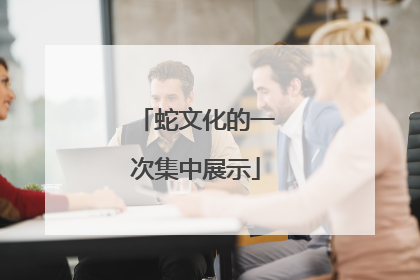 蛇文化的一次集中展示