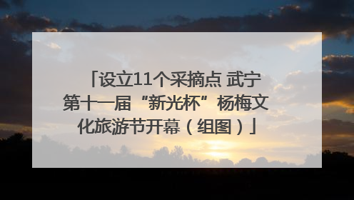 设立11个采摘点 武宁第十一届“新光杯”杨梅文化旅游节开幕（组图）
