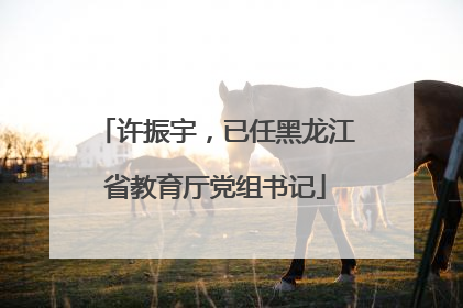 许振宇，已任黑龙江省教育厅党组书记