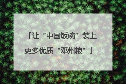 让“中国饭碗”装上更多优质“邓州粮”