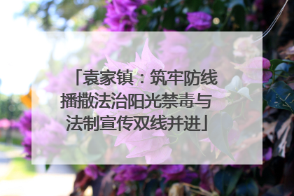 袁家镇：筑牢防线播撒法治阳光禁毒与法制宣传双线并进