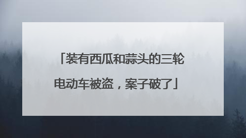 装有西瓜和蒜头的三轮电动车被盗，案子破了