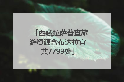 西藏拉萨普查旅游资源含布达拉宫共7799处