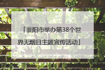 襄阳市举办第38个世界无烟日主题宣传活动