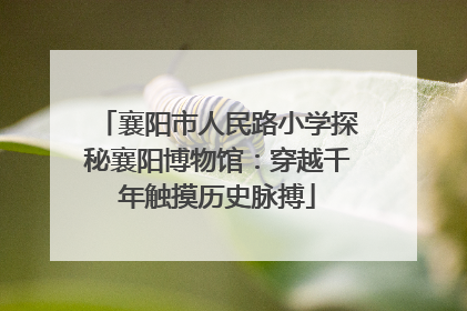 襄阳市人民路小学探秘襄阳博物馆：穿越千年触摸历史脉搏