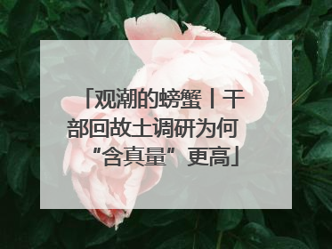 观潮的螃蟹丨干部回故土调研为何“含真量”更高