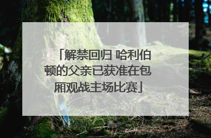 解禁回归 哈利伯顿的父亲已获准在包厢观战主场比赛