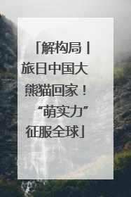解构局丨旅日中国大熊猫回家！“萌实力”征服全球