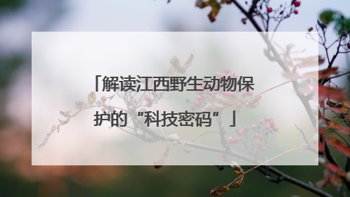 解读江西野生动物保护的“科技密码”