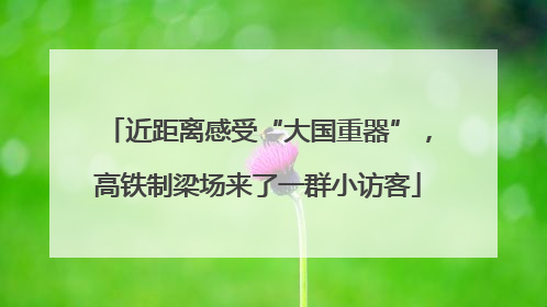 近距离感受“大国重器”，高铁制梁场来了一群小访客