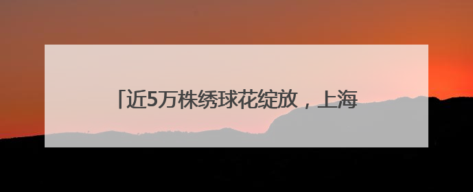 近5万株绣球花绽放，上海滨江森林公园绣球花展开幕