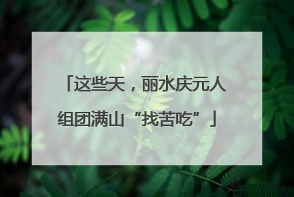 这些天，丽水庆元人组团满山“找苦吃”