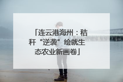 连云港海州：秸秆“逆袭”绘就生态农业新画卷