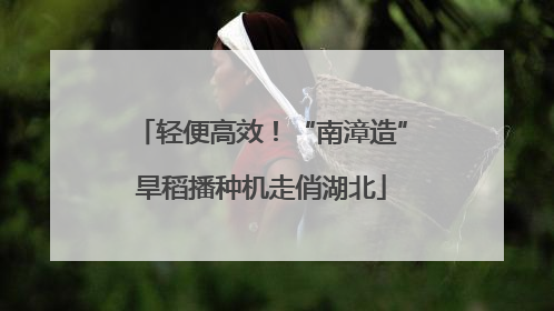 轻便高效！“南漳造”旱稻播种机走俏湖北