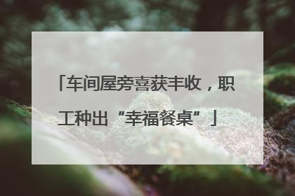 车间屋旁喜获丰收，职工种出“幸福餐桌”