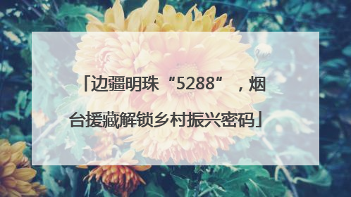 边疆明珠“5288”，烟台援藏解锁乡村振兴密码