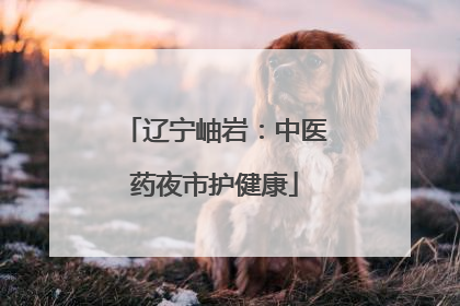 辽宁岫岩：中医药夜市护健康