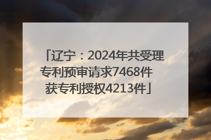 辽宁：2024年共受理专利预审请求7468件 获专利授权4213件