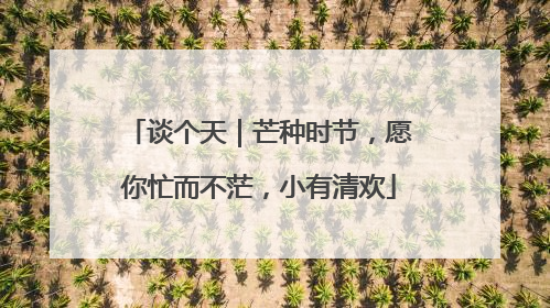 谈个天｜芒种时节，愿你忙而不茫，小有清欢