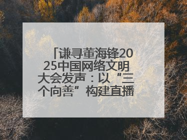 谦寻董海锋2025中国网络文明大会发声：以“三个向善”构建直播电商善意长河