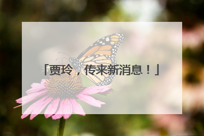 贾玲，传来新消息！