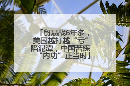贸易战6年多，美国越打越“亏”陷泥潭，中国苦练“内功”正当时