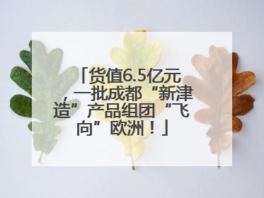 货值6.5亿元，一批成都“新津造”产品组团“飞向”欧洲！