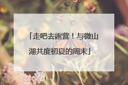 走吧去露营！与微山湖共度初夏的周末