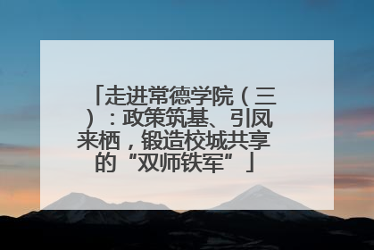 走进常德学院（三）：政策筑基、引凤来栖，锻造校城共享的“双师铁军”