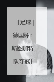 足球｜德国杯：斯图加特队夺冠