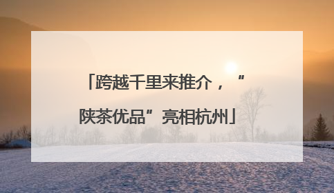 跨越千里来推介，“陕茶优品”亮相杭州