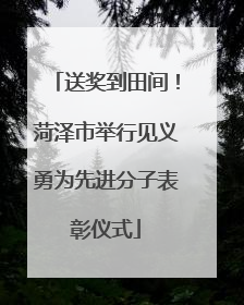 送奖到田间！菏泽市举行见义勇为先进分子表彰仪式