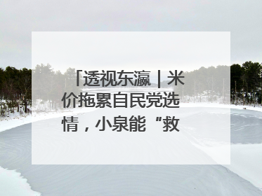 透视东瀛｜米价拖累自民党选情，小泉能“救”石破茂吗