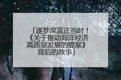 逐梦深蓝正当时！《关于推动海洋经济高质量发展的提案》背后的故事