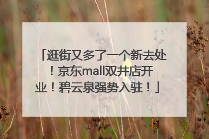 逛街又多了一个新去处！京东mall双井店开业！碧云泉强势入驻！