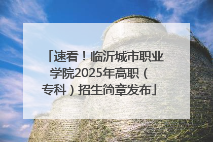 速看！临沂城市职业学院2025年高职（专科）招生简章发布