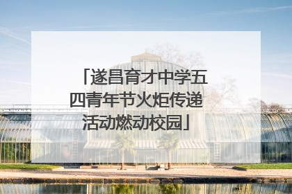 遂昌育才中学五四青年节火炬传递活动燃动校园